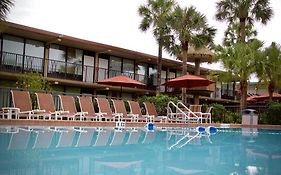 Magic Tree Resort Florida